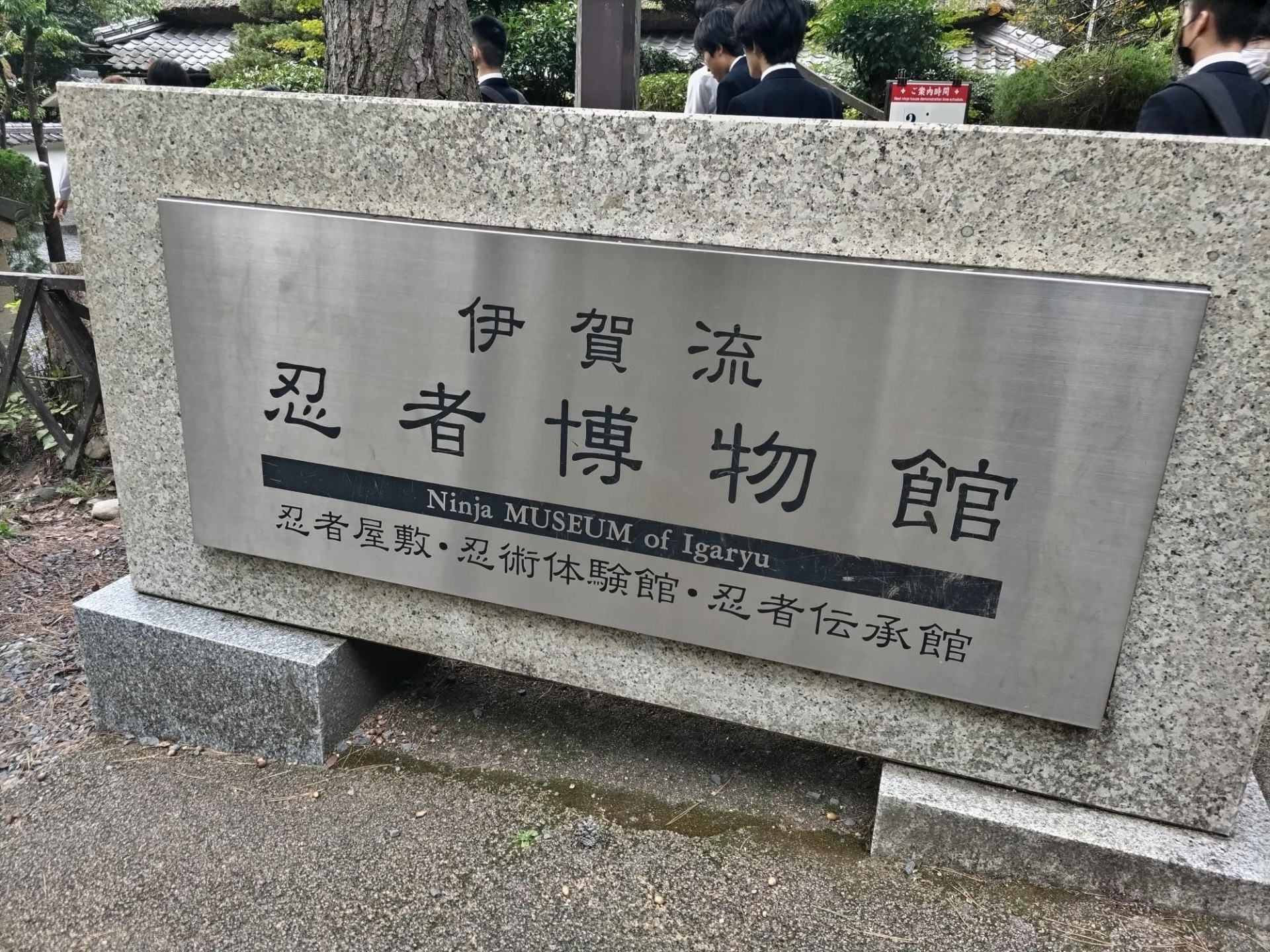 ディア (8)